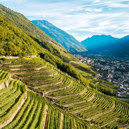 Farma Caffe E Vino Sondrio
